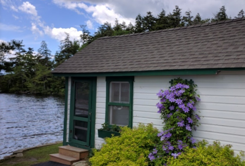 A cozy lakeside cabin with a green door, surrounded by lush greenery and purple flowers, under a blue sky.