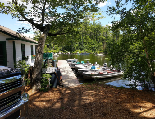 A peaceful lakeside scene with boats docked at a wooden pier, surrounded by trees and a clear blue sky.