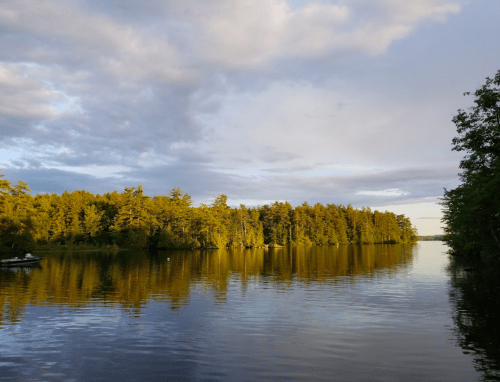 A serene lake surrounded by lush trees, reflecting clouds and sunlight on the water's surface.