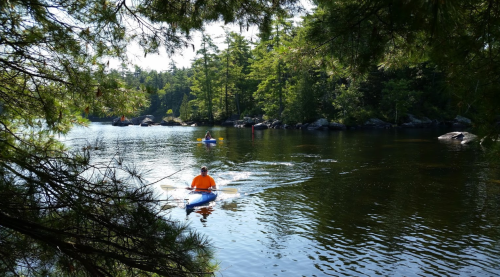 Two kayakers paddle on a calm lake surrounded by lush green trees and rocky shores under a clear blue sky.
