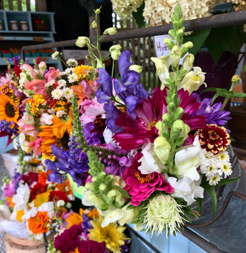 A vibrant display of assorted flowers in various colors, arranged beautifully in a rustic setting.