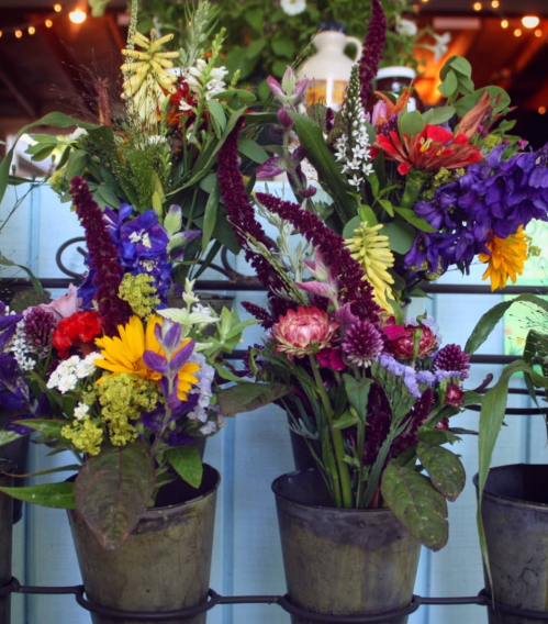 A vibrant display of colorful flowers in metal pots, arranged against a blue backdrop with soft lighting.