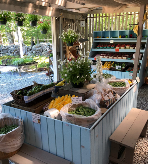 A vibrant farm stand displays fresh vegetables and flowers, with baskets of produce and a rustic wooden setup.