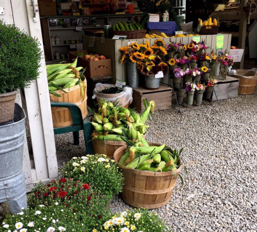 Baskets of corn and colorful flowers outside a market, surrounded by gravel and potted plants.