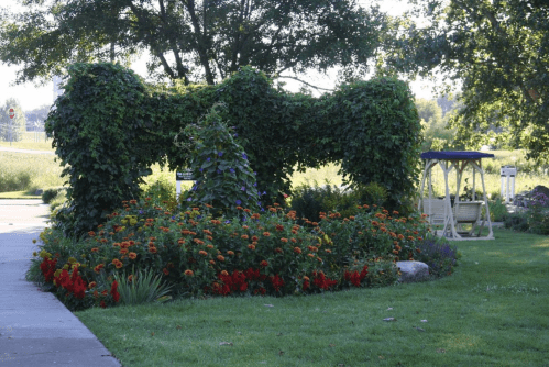 A lush green archway covered in vines, surrounded by vibrant flower beds in a sunny garden setting.