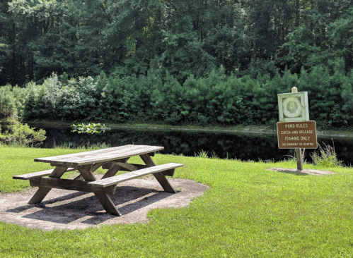 A picnic table near a pond with a sign detailing catch-and-release fishing rules, surrounded by trees.