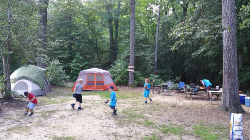 A campsite in a wooded area with two tents, children playing, and adults preparing food at a picnic table.