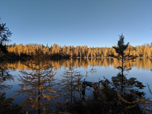 A serene lake surrounded by autumn trees, reflecting a clear blue sky and vibrant fall colors.