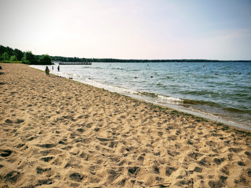 A sandy beach with gentle waves, trees in the background, and a few people enjoying the water on a sunny day.