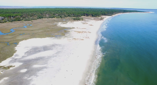Aerial view of a sandy beach curving along a clear blue ocean, bordered by lush green trees and coastal vegetation.