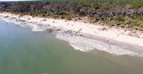 Aerial view of a sandy beach with driftwood, surrounded by lush green trees and calm water.