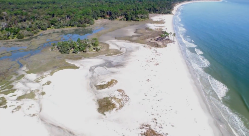 Aerial view of a sandy beach with lush greenery, tidal pools, and gentle waves along the coastline.