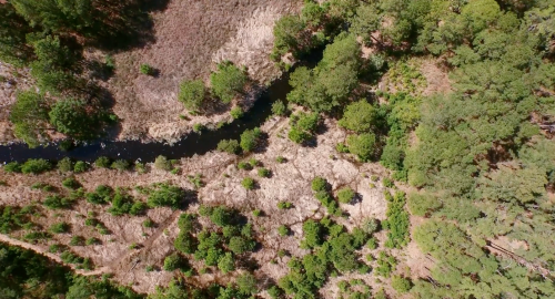 Aerial view of a winding river surrounded by lush greenery and dry land, showcasing a mix of vegetation and terrain.