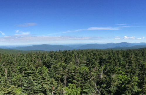 A panoramic view of lush green forests and distant mountains under a clear blue sky.