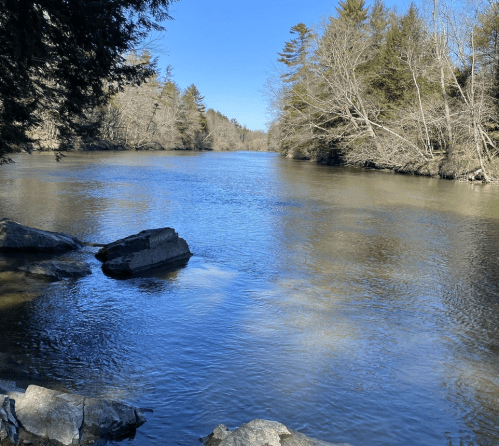A serene river scene with calm water, surrounded by trees and rocky banks under a clear blue sky.