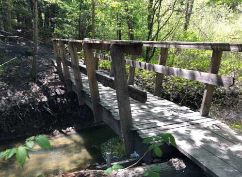 A wooden bridge spans a small stream, surrounded by lush green trees and foliage in a forested area.