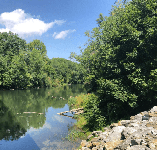 A serene river scene surrounded by lush greenery and blue skies, with rocks lining the water's edge.
