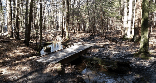 A wooden bridge crosses a small stream in a forest with bare trees and fallen leaves on the ground.