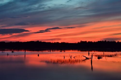 A serene sunset over a calm lake, with vibrant pink and orange hues reflecting on the water and silhouettes of trees.