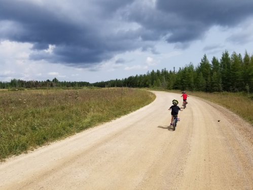Two children riding bicycles on a dirt road surrounded by trees under a cloudy sky.