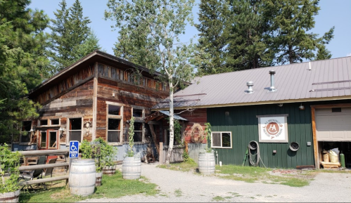 A rustic wooden building with a green side, surrounded by trees and barrels, featuring a sign on the wall.