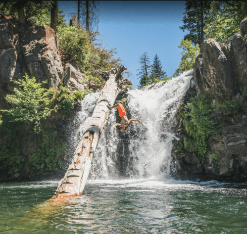 A person jumps off a log into a waterfall, surrounded by lush greenery and clear water on a sunny day.
