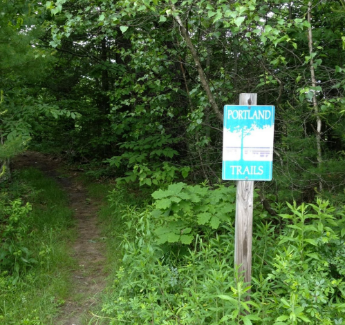 A wooden sign for "Portland Trails" stands beside a narrow, overgrown path in a lush green forest.