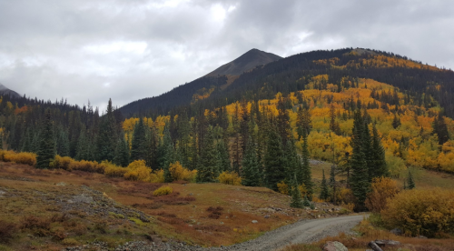 A scenic view of mountains with autumn foliage, featuring green pine trees and vibrant yellow and orange leaves.