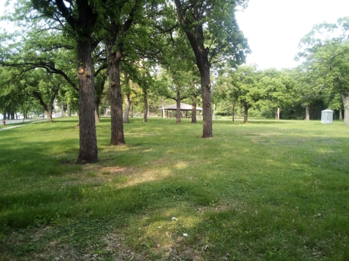 A grassy park area with several trees and a gazebo in the background under a clear sky.