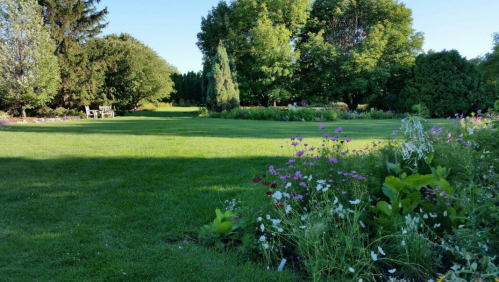A lush green garden with colorful flowers in the foreground and trees in the background under a clear blue sky.
