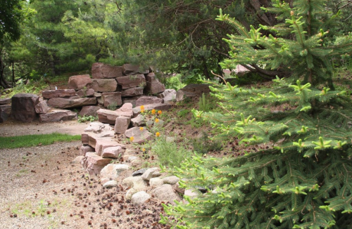 A rocky landscape with green trees, scattered pine cones, and orange flowers in a natural setting.