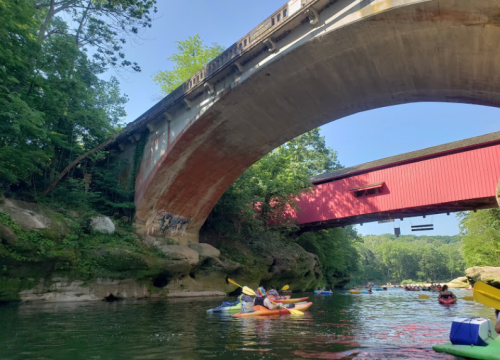 A group of kayakers paddles under a large bridge surrounded by lush greenery on a sunny day.