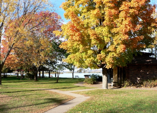 A park scene with vibrant autumn trees in orange and yellow, a path, and a view of a lake in the background.