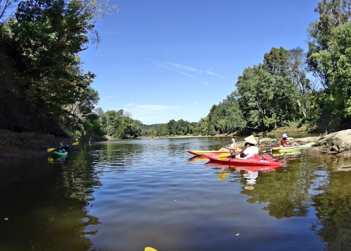 A serene river scene with kayakers paddling under a clear blue sky, surrounded by lush green trees.