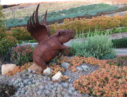 A whimsical metal sculpture of a winged pig among colorful succulents in a garden setting.