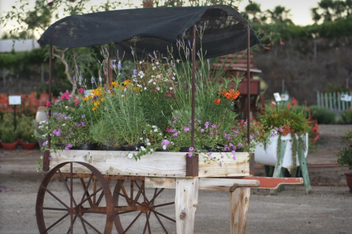 A wooden cart filled with colorful flowers, covered by a black canopy, set in a garden.