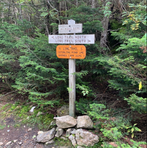 Wooden trail signpost in a forest, indicating directions to Long Trail North, Long Trail South, and Sterling Pond.