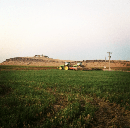 A green tractor plows a field with a distant hill and power lines under a pastel sky at dusk.