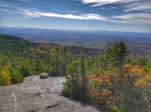 A panoramic view of a colorful forested landscape with mountains in the distance under a blue sky.