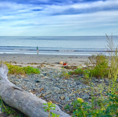 A serene beach scene with a person walking along the shore, surrounded by rocks and greenery under a blue sky.
