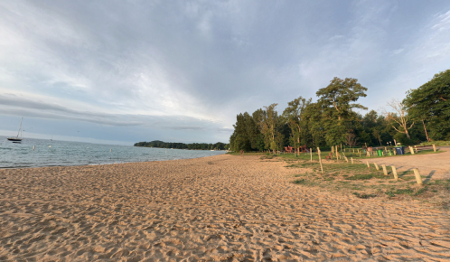 A sandy beach with calm water, trees lining the shore, and a cloudy sky in the background.