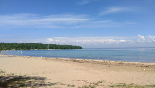 A serene beach scene with clear blue water, sandy shore, and green trees under a bright blue sky with scattered clouds.