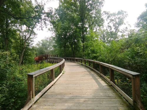 A winding wooden boardwalk through a lush green forest, surrounded by trees and foliage.