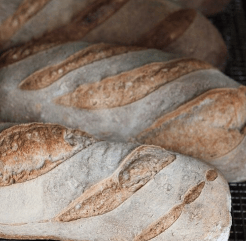 Freshly baked loaves of artisanal bread with a crusty exterior and distinctive scoring on top.