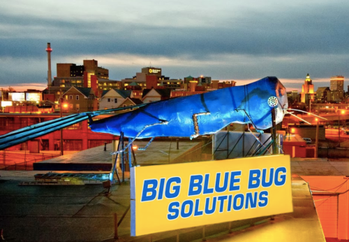 A large blue bug sculpture atop a building with a sign reading "BIG BLUE BUG SOLUTIONS" against a sunset skyline.