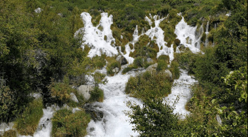 A cascading waterfall flows over rocks, surrounded by lush greenery and vibrant vegetation.
