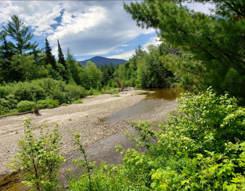 A serene riverbank scene with lush greenery, pebbles, and distant mountains under a partly cloudy sky.