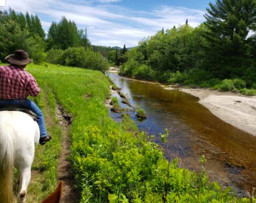 A person on horseback rides along a lush green path beside a calm river, surrounded by trees and blue sky.