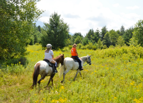 Two riders on horseback traverse a grassy field with trees and wildflowers under a sunny sky.