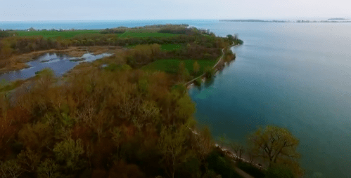 Aerial view of a lush green landscape meeting a calm blue lake, with trees and a winding path along the shore.